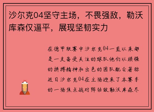 沙尔克04坚守主场，不畏强敌，勒沃库森仅逼平，展现坚韧实力