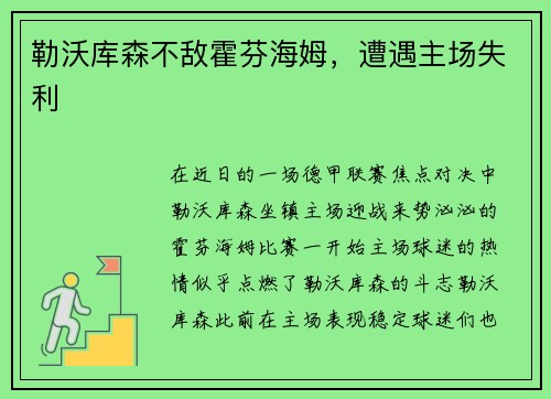 勒沃库森不敌霍芬海姆，遭遇主场失利