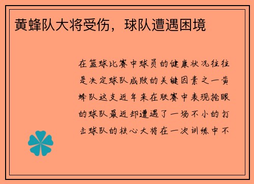 黄蜂队大将受伤，球队遭遇困境